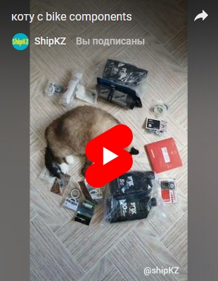 Видеоотзыв клиента ShipKZ с распаковкой заказа
